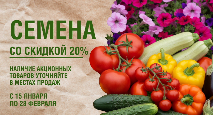 Скидка на семена!