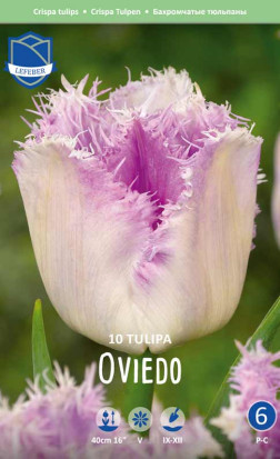 Тюльпаны Oviedo (Овьедо) (Lefeber)
