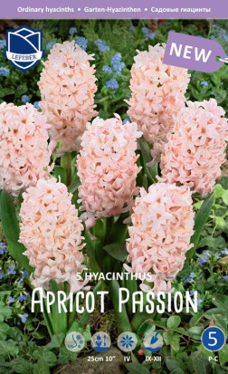 Гиацинты Apricot Passion (Lefeber)