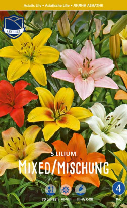 Лилия Asiatic Mixed Colors (Lefeber)