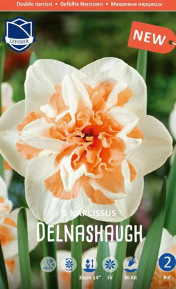 Нарциссы Delnashaugh (Lefeber)