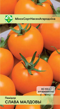 Томат Слава Молдовы 15шт