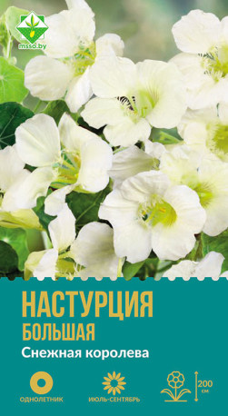 Настурция большая Снежная королева 1г