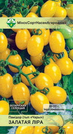 Томат Золотая лира* (тип 