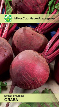 Свекла Слава столовая* 2г