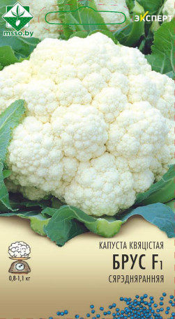 Капуста цветная Брюс F1 12шт (Эксперт)