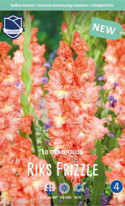 Гладиолус Riks Frizzle (Lefeber)