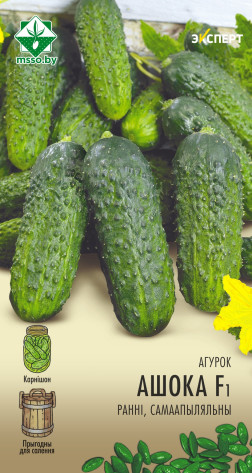 Огурец Ашока F1 10шт (Эксперт)