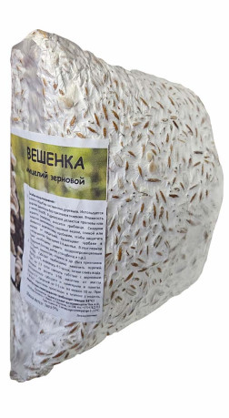 Мицелий Вешенки 1кг