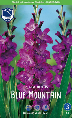Гладиолус Blue Mountain (Budget packs) (Lefeber)