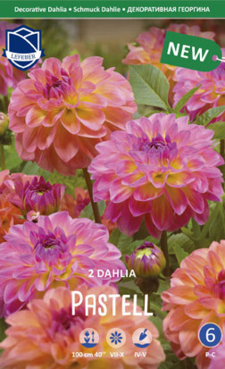 Георгина Pastell (Combi packs) (Lefeber)