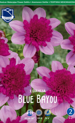 Георгина Blue Bayou (Lefeber)