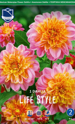 Георгина Life Style (Lefeber)