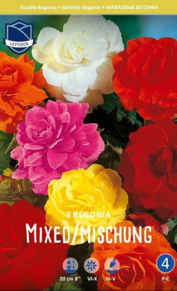 Бегония Double Mixed (Lefeber)