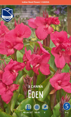 Канна Eden (Lefeber)