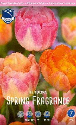 Тюльпаны Spring Fragrance (серия Perfect partners) (Lefeber)