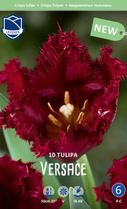 Тюльпаны Versace (Lefeber)