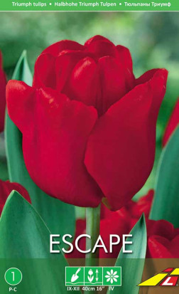 Тюльпаны Escape (Budget packs) (Lefeber)