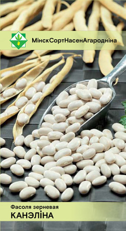 Фасоль Каннеллино (зерновая) 15шт