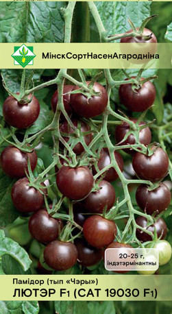 Томат Лютер F1 (САТ 19030) 7шт