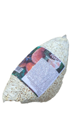 Мицелий Рейши