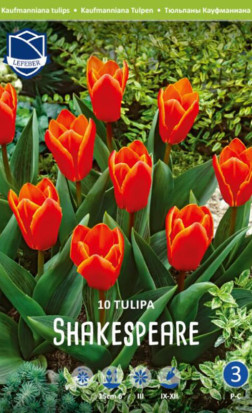 Тюльпаны Shakespeare (Lefeber)