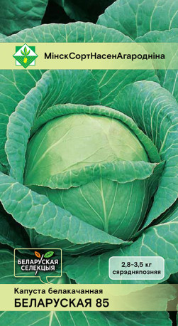 Капуста б/к Белорусская 85 0.5г