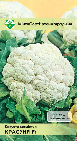 Капуста цветная Красавица F1 10шт