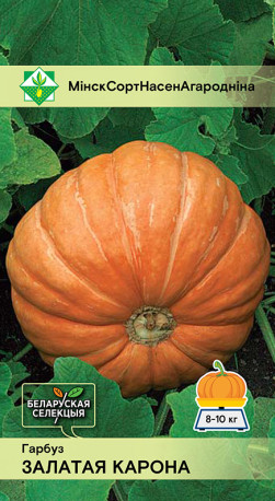 Тыква Золотая корона 10шт