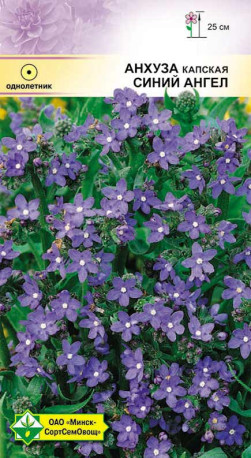 Анхуза капская Синий ангел 0.2г