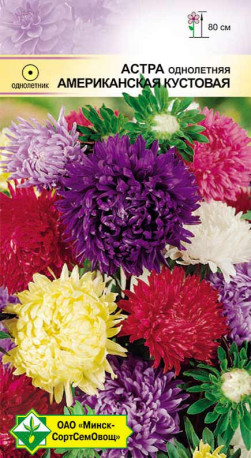 Астра Американская кустовая см 0.3г