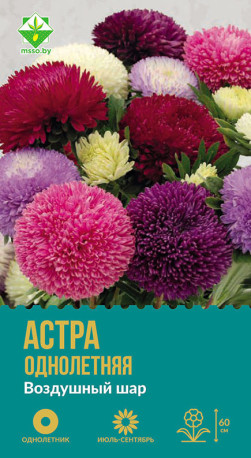 Астра Воздушный шар см 0.1г