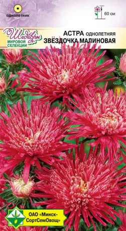 Астра Звездочка Малиновая 0.1г
