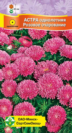 Астра Карликовая Розовое очарование 0.3г