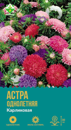 Астра Карликовая см 0.3г