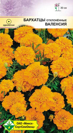 Бархатцы откл Валенсия 0.5г