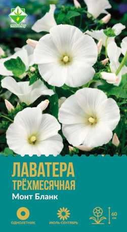 Лаватера трехмесячная Монт Бланк 0.5г