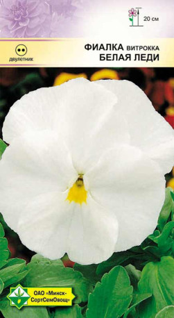 Фиалка Витрокка Белая леди 0.1г