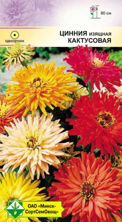 Цинния изящная Кактусовая см 0.5г