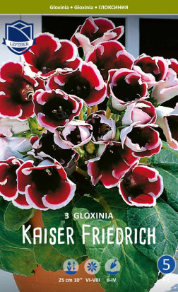 Глоксиния Kaiser Friedrich (Lefeber)