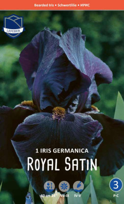Ирис germanica Royal Satin (Lefeber)