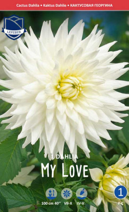 Георгина My Love (Lefeber)