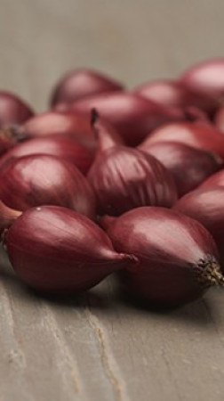 Лук-севок Кармен (10-21мм)