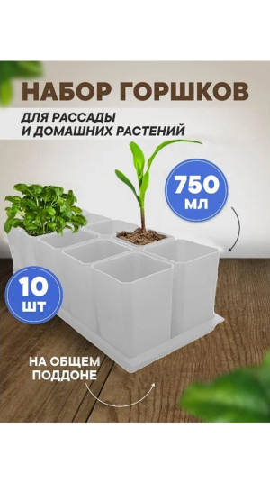 Набор горшков для рассады 10х0,75л арт.0330 белый