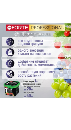 Удобрение Bona Forte для клубники и ягод с биодоступным кремнием 1л
