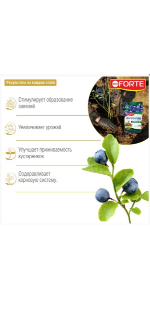 Удобрение Bona Forte для голубики и лесных ягод с цеолитом 2.5кг