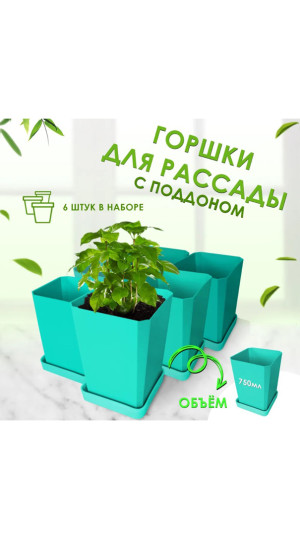 Набор горшков для рассады 6х0,75л арт.0335 зеленый