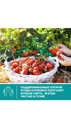 Опора для клубники 5шт