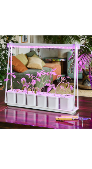 Фитосветильник 10 Вт, 544мм UL-00006094