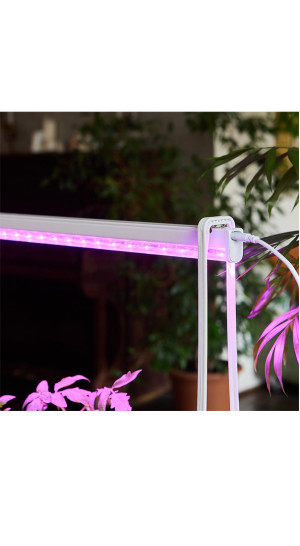 Фитосветильник 10 Вт, 544мм UL-00006094